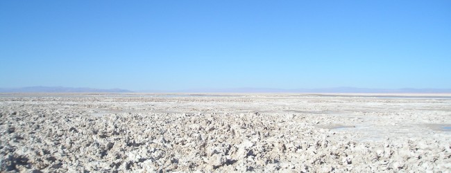 SQM aborda con inversionistas investigación por “platas políticas”