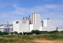Agrosuper planea construir nuevo edificio corporativo en Rancagua