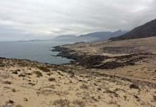 Ex ejecutivos de Gener y fondo preparan millonario proyecto termoeléctrico en la Región de Atacama