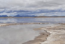 Posco comenzó la construcción de una planta de Litio en Argentina