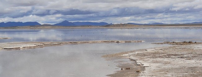 Posco comenzó la construcción de una planta de Litio en Argentina