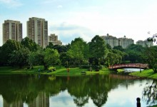 7 claves para lograr tener una ciudad sustentable