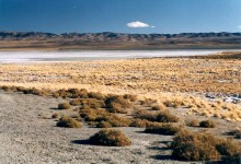 SQM paga US$25 millones por 50% de proyecto de litio Caucharí-Olaroz en Argentina