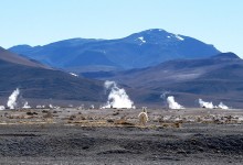 Bajo precio de la energía sigue cobrando víctimas: cierran empresas de geotermia