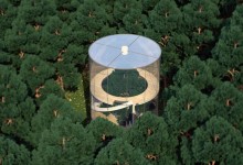 Una casa construida en torno a un árbol