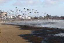 Medio Ambiente evalúa modificar normativa para fiscalizar obras previas a 1994, sin RCA