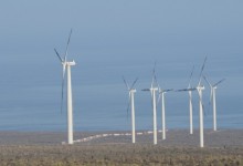 Del Campo: licitación sólo será competitiva para eléctricas con centrales en operación