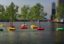 Plantan primer «bosque flotante» en Rotterdam