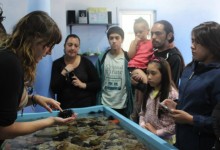 Instalan en Valparaíso acuario interactivo que será el primero de una eventual red nacional