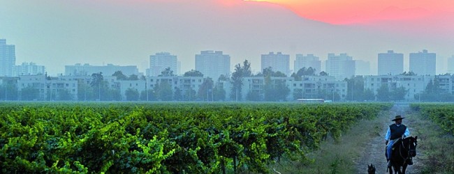 Viña Cousiño Macul inicia evaluación ambiental de nuevo proyecto inmobiliario