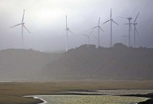 Cristalerías de Chile inicia construcción de parque eólico Las Peñas en Arauco