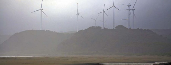 Cristalerías de Chile inicia construcción de parque eólico Las Peñas en Arauco