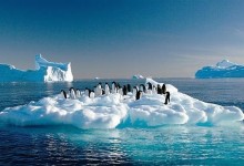 Países renuevan en Santiago compromiso con la protección ambiental de la Antártica