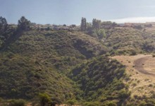 Vecinos acusan que proyectos inmobiliarios ponen en riesgo parque natural en Viña del Mar