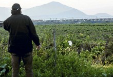 Serviu insistirá en comprar terreno para viviendas sociales que municipio de Maipú rechazó