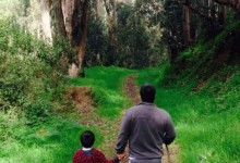 Vecinos piden ampliar medida que evita proyectos inmobiliarios en Parque Gómez Carreño