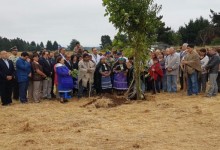 Instalan primera piedra de hospital en Padre Las Casas: construcción tardaría 3 años