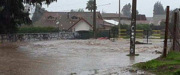 Construcción de colectores en Concón busca terminar con históricas inundanciones