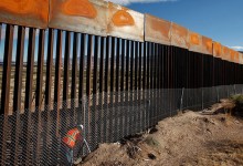 Los animales también serán víctimas de la construcción del muro fronterizo entre EEUU y México
