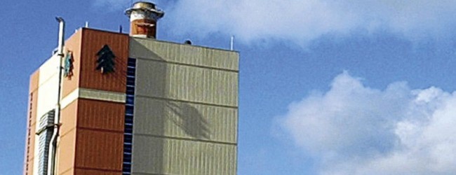 Arauco consigue US$ 300 millones para proyecto en EE.UU.