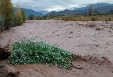 Diputada oficia al MOP por lentitud en construcción de defensas fluviales en la región