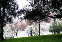 Puente Alto y El Bosque: las comunas con menor acceso a áreas verdes