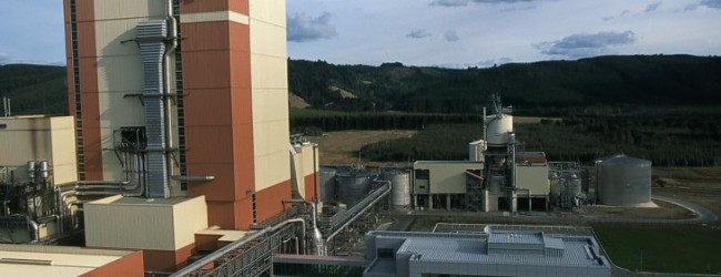Suprema da luz verde a inversión de US$ 2.500 millones del grupo Angelini