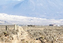 Comité de Ministros debe zanjar futuro de proyectos por US$ 8.800 millones