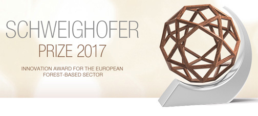 Joven arquitecto es finalista para representar a Chile en los premios Schweighofer 2017