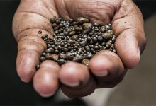 Chile se une a la caza del próximo mineral que busca superar al cobre y el litio