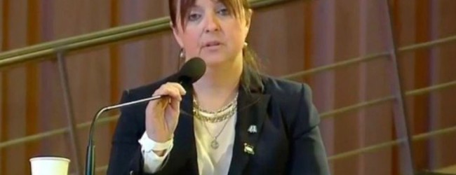 Odarda propuso la construcción de un parque eólico en Sierra Grande