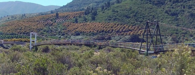 A fin de año comenzarán la construcción del nuevo puente Lo Rojas sobre el Río Aconcagua