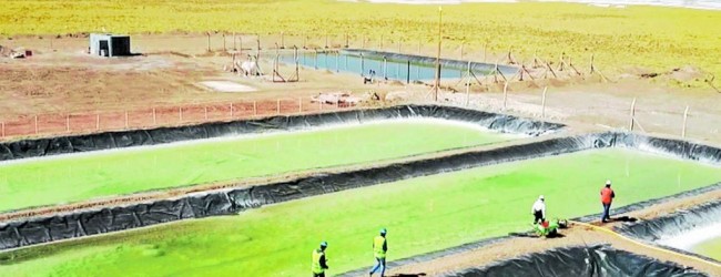 SQM aprieta el acelerador en Argentina y adelanta a 2018 puesta en marcha de proyecto de litio