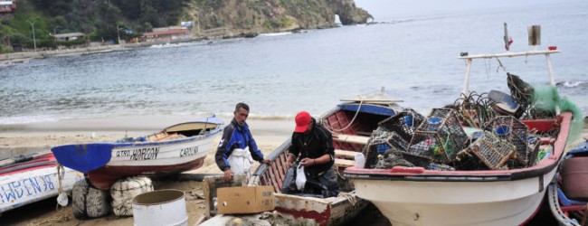 Puchuncaví: revelan monto que contemplaría construcción de nuevo muelle en Caleta Ventanas