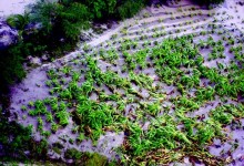 Genera entusiasmo en Sur impulso en construcción presa de Monte Grande