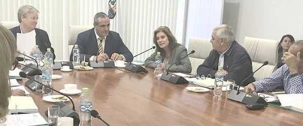 CORE aprueba construcción de Posta de Salud Rural Palma Rosa de Parral