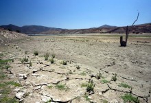 Construcción de pozos y megaembalses devastan Petorca