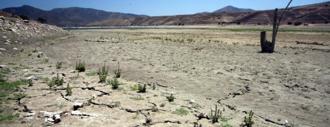 Construcción de pozos y megaembalses devastan Petorca