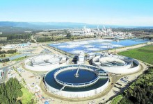 Brazo forestal de Copec define en 60 días futuro del proyecto MAPA, su mayor inversión histórica