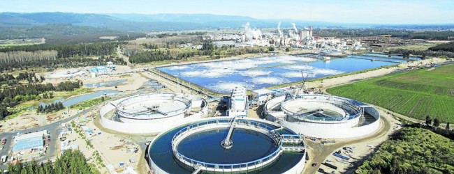 Brazo forestal de Copec define en 60 días futuro del proyecto MAPA, su mayor inversión histórica