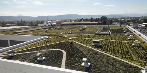 Áreas verdes en recintos de salud ayudan a la recuperación del paciente