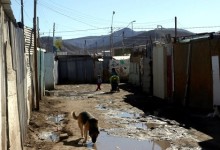 La historia de la toma Frei Bonn, el campamento que el Gobierno buscaba erradicar antes de que el fuego lo consumiera