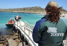 Día Nacional del Medio Ambiente: Todos los parques y reservas naturales tendrán ingreso gratuito este fin de semana