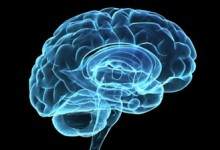 Científicos chilenos trabajan en proyecto para combatir enfermedades como el Parkinson