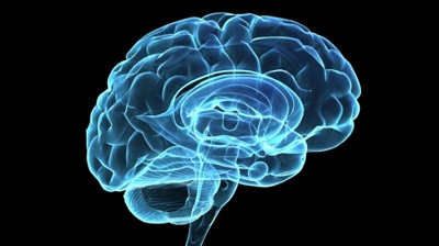 Científicos chilenos trabajan en proyecto para combatir enfermedades como el Parkinson
