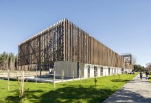 Arauco apuesta por desarrollar la construcción en madera en Chile