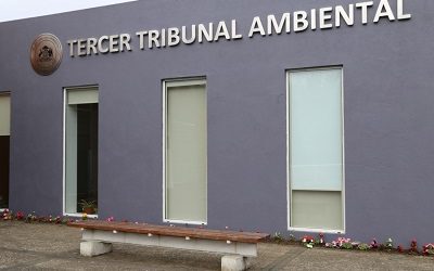 Tribunal Ambiental de Valdivia condena a Endesa como responsable de daño ambiental en Lota y Coronel