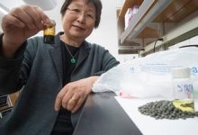 Científicos proponen innovador método para convertir el plástico en combustible