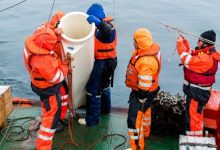 Científicos estudian en la Antártica chilena el ciclo del carbono, una clave contra el cambio climático