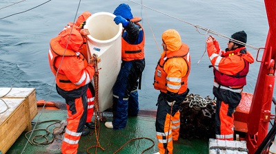 Científicos estudian en la Antártica chilena el ciclo del carbono, una clave contra el cambio climático